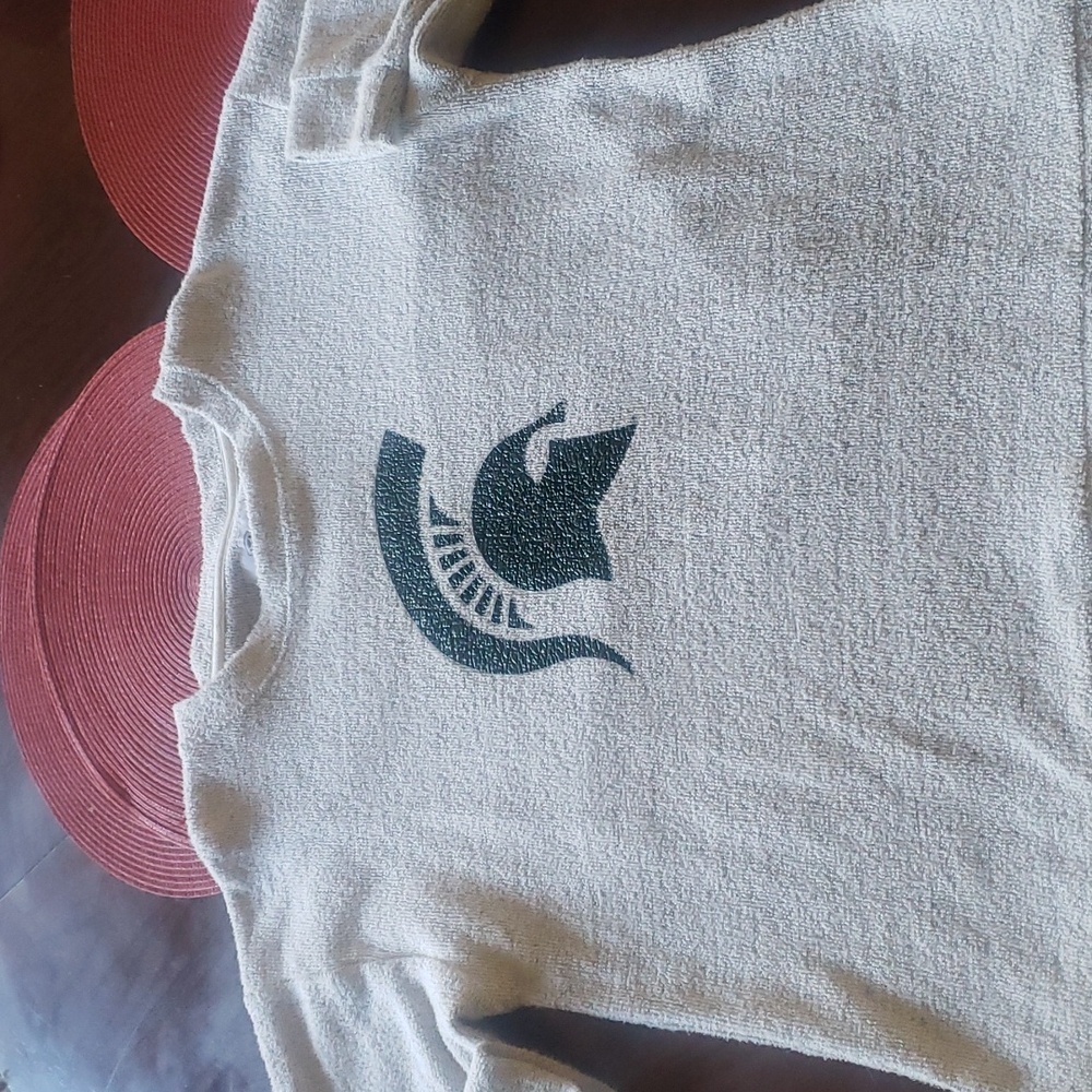 Michigan state Spartans sweater